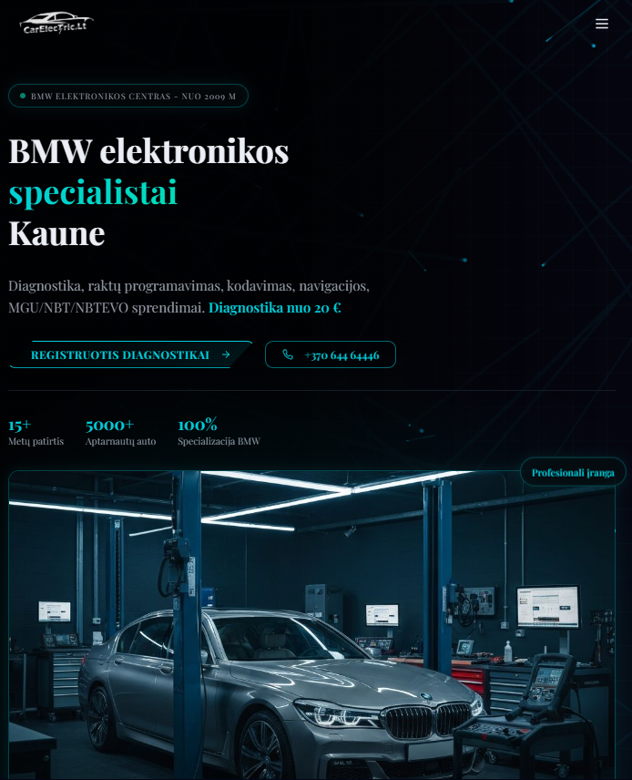 Automobilių elektros paslaugų svetainė